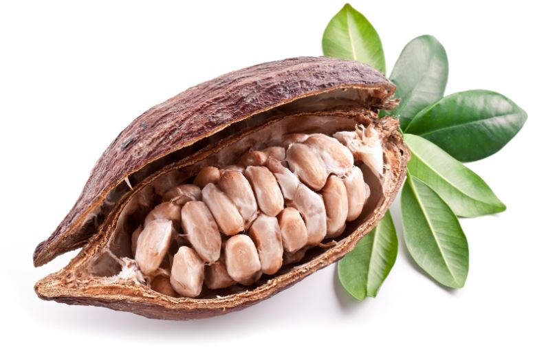 Tostador para cacao ROURE