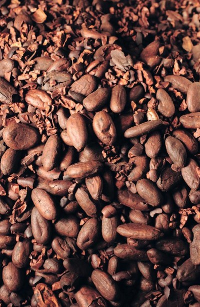 Cacao torréfié avec le torréfacteur ROURE 
